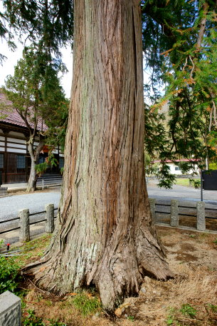 永泉寺のコウヨウザン