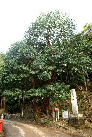 恩山寺のビランジュ